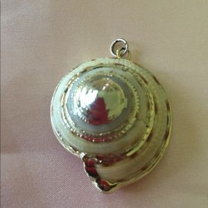Real shellfish pendant
